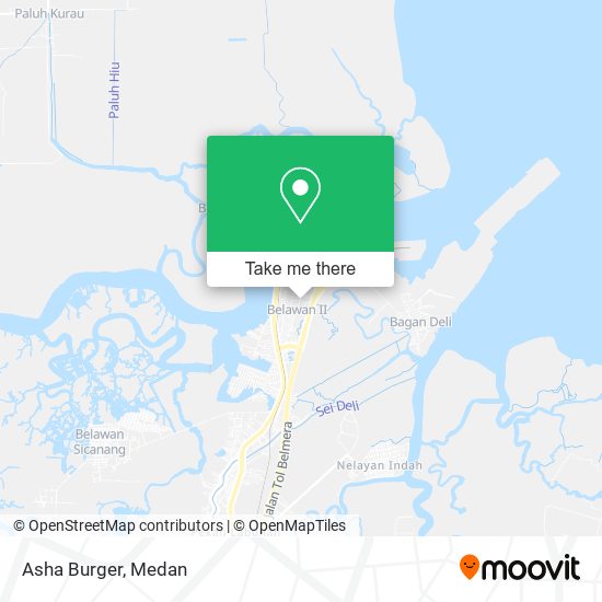 Asha Burger map