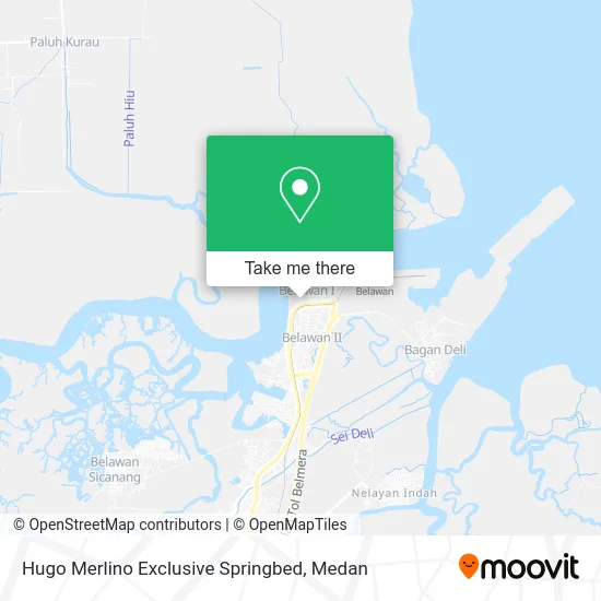 Hugo Merlino Exclusive Springbed map