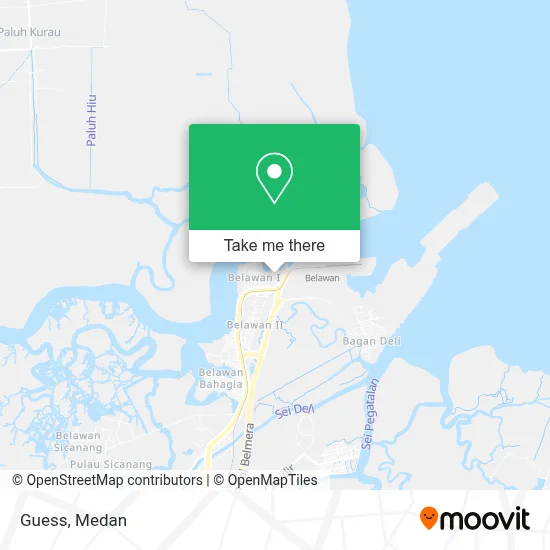 Guess map