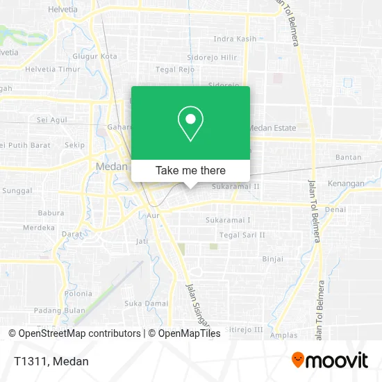 T1311 map