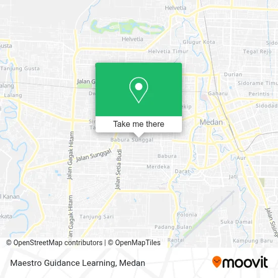 Maestro Guidance Learning map