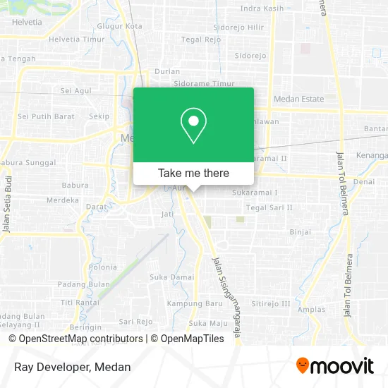 Ray Developer map