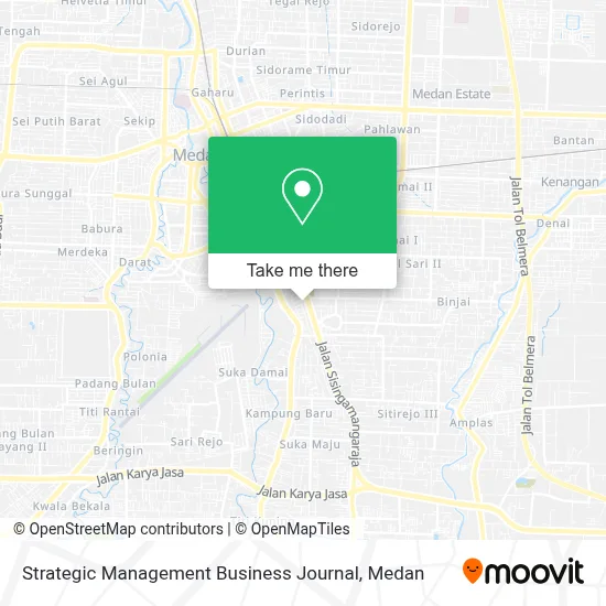 Strategic Management Business Journal map