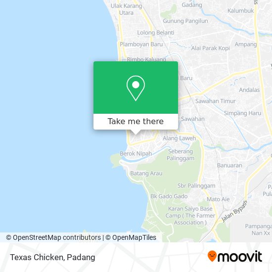 Texas Chicken map