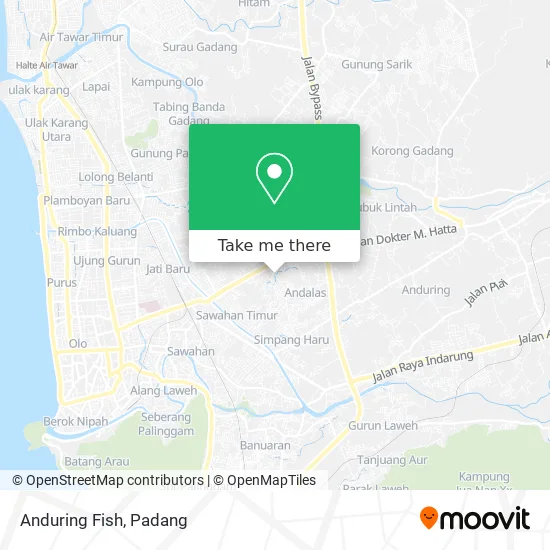 Anduring Fish map