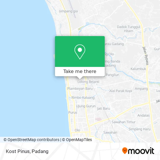 Kost Pinus map