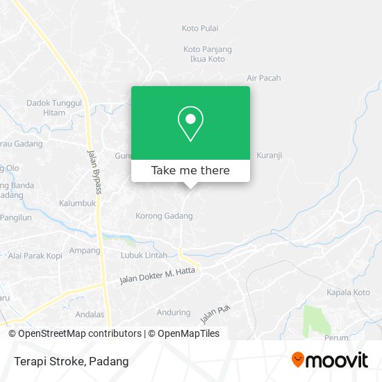 Terapi Stroke map