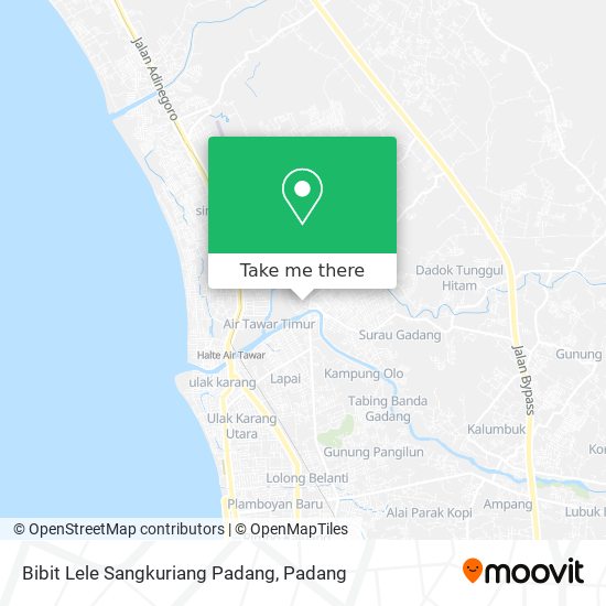 Bibit Lele Sangkuriang Padang map