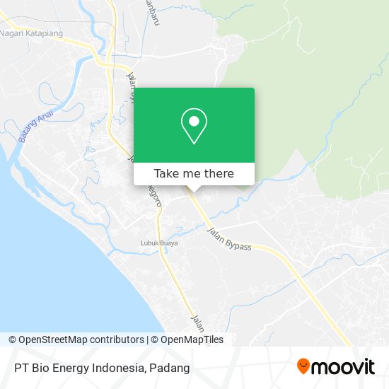 PT Bio Energy Indonesia map