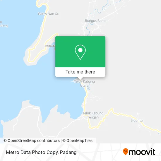 Metro Data Photo Copy map