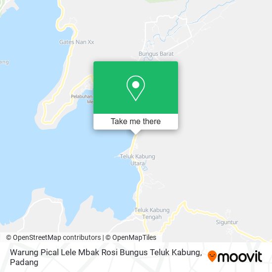 Warung Pical Lele Mbak Rosi Bungus Teluk Kabung map