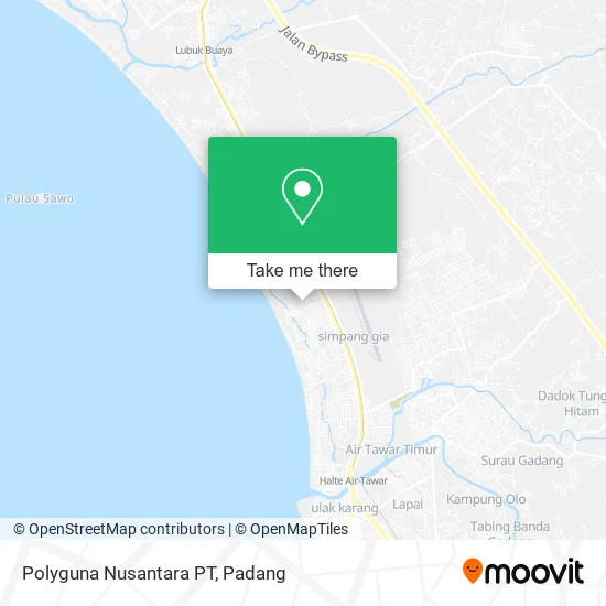 Polyguna Nusantara PT map