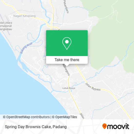 Spring Day Brownis Cake map