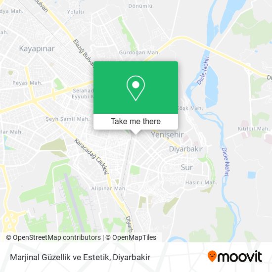 Marjinal Güzellik ve Estetik map