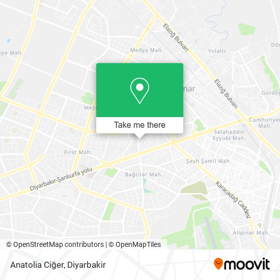 Anatolia Ciğer map