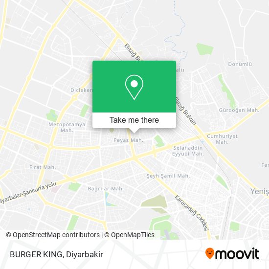 BURGER KING map