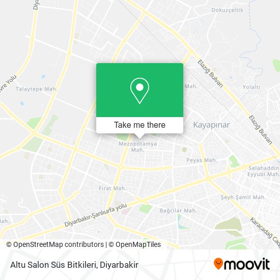 Altu Salon Süs Bitkileri map