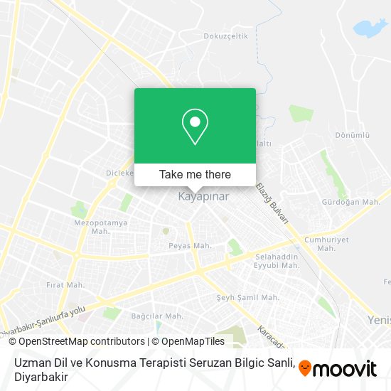 Uzman Dil ve Konusma Terapisti Seruzan Bilgic Sanli map