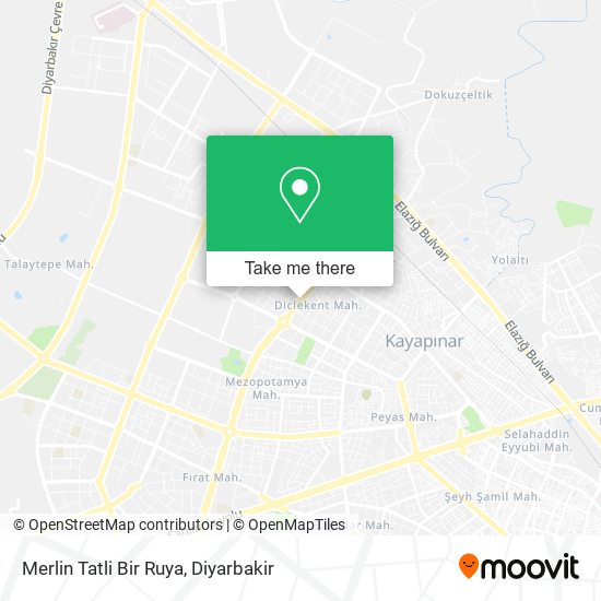 Merlin Tatli Bir Ruya map