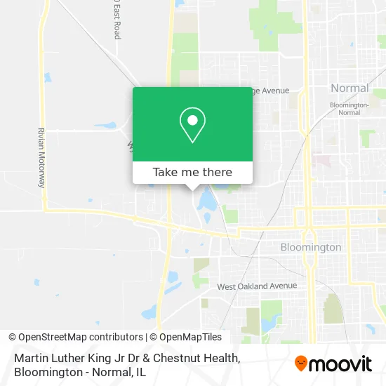 Martin Luther King Jr Dr & Chestnut Health map