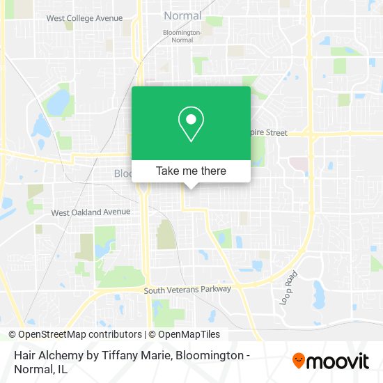 Mapa de Hair Alchemy by Tiffany Marie