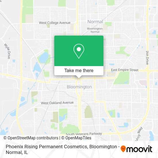 Phoenix Rising Permanent Cosmetics map