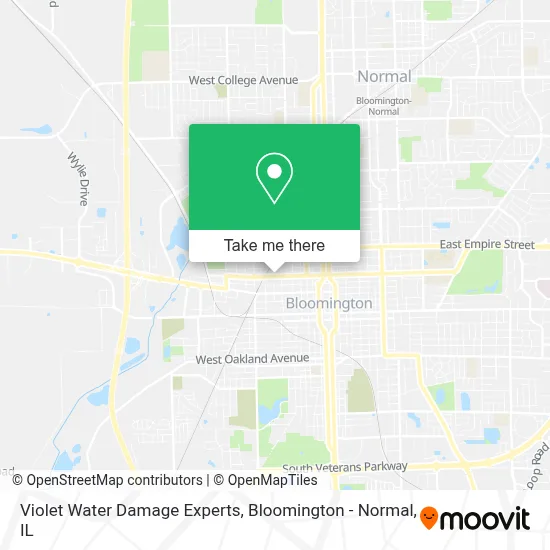 Violet Water Damage Experts map