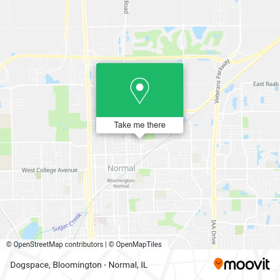 Dogspace map