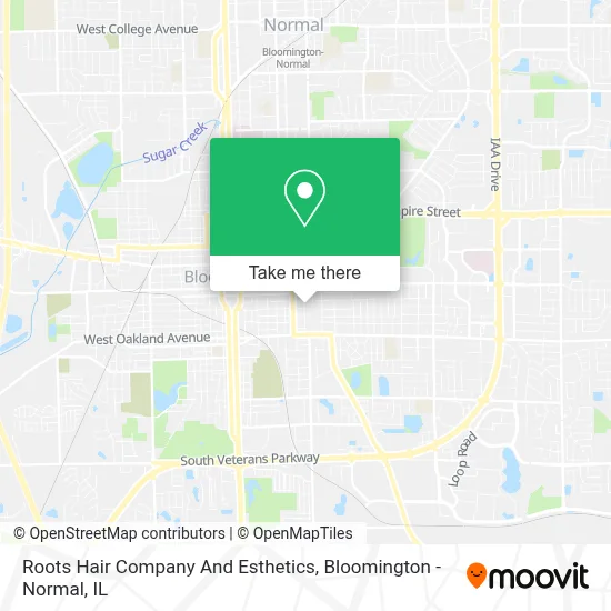 Roots Hair Company And Esthetics map