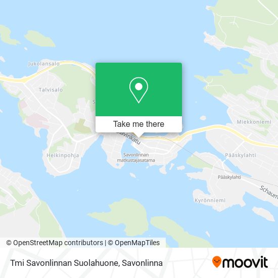 Tmi Savonlinnan Suolahuone map
