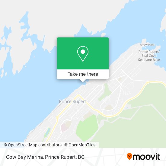 Cow Bay Marina plan