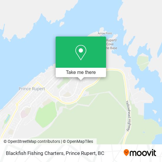 Blackfish Fishing Charters plan