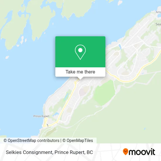Selkies Consignment map