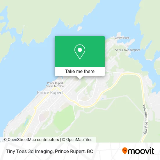 Tiny Toes 3d Imaging map