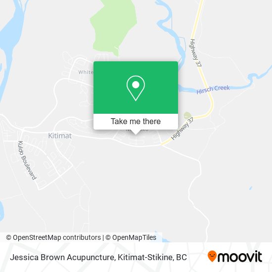 Jessica Brown Acupuncture map