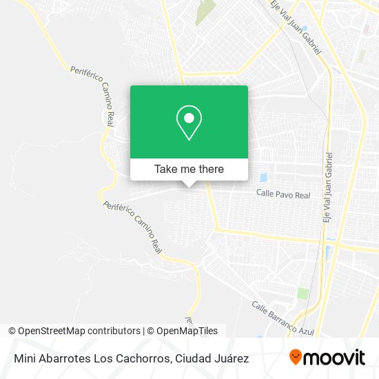 Mini Abarrotes Los Cachorros map