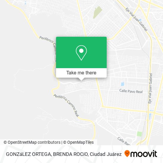GONZáLEZ ORTEGA, BRENDA ROCíO map