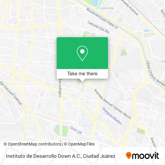 Instituto de Desarrollo Down A.C. map