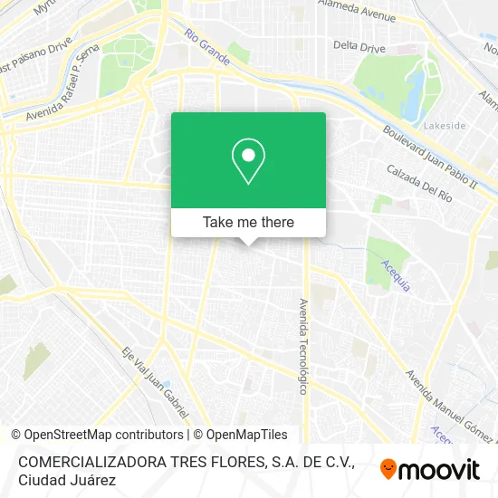 COMERCIALIZADORA TRES FLORES, S.A. DE C.V. map