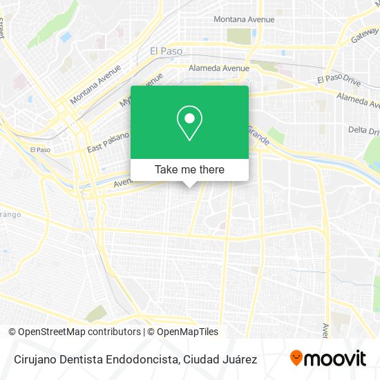 Cirujano Dentista Endodoncista map