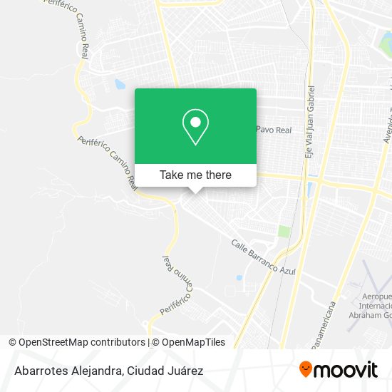 Abarrotes Alejandra map