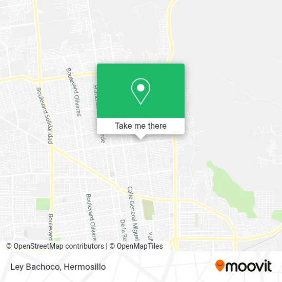 Ley Bachoco map
