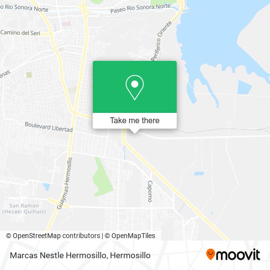 Marcas Nestle Hermosillo map