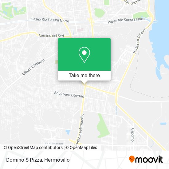 Domino S Pizza map