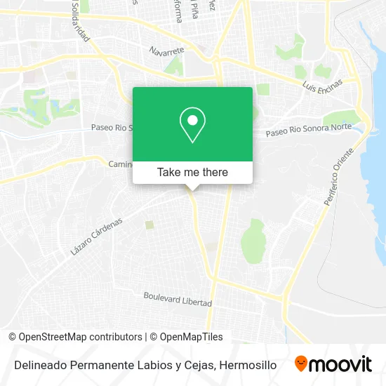 Delineado Permanente Labios y Cejas map