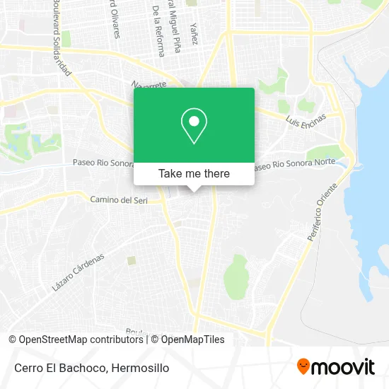 Cerro El Bachoco map