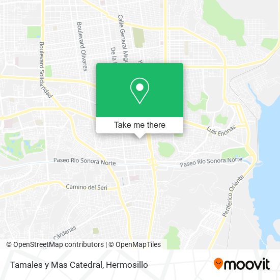 Tamales y Mas Catedral map