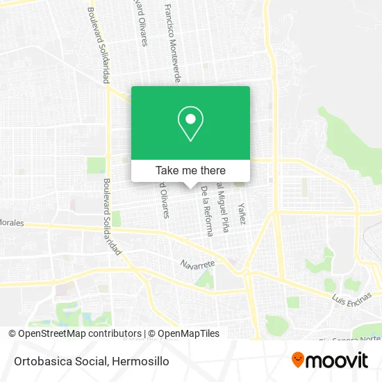 Ortobasica Social map