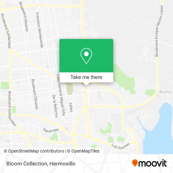 Bloom Collection map