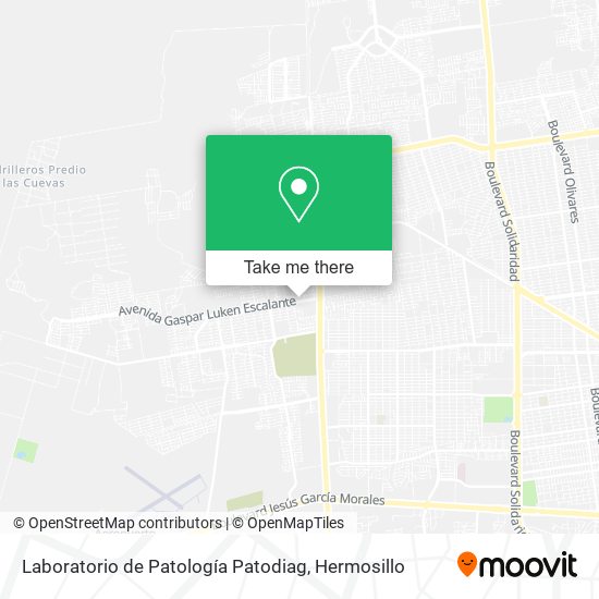 Mapa de Laboratorio de Patología Patodiag